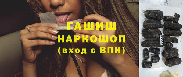 шишки Инсар