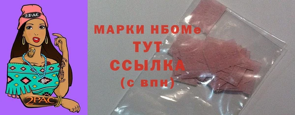 шишки Инсар
