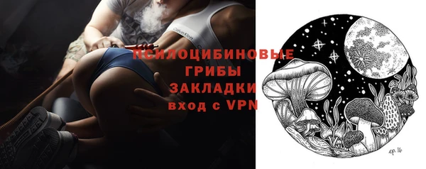 шишки Инсар