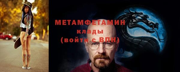 шишки Инсар
