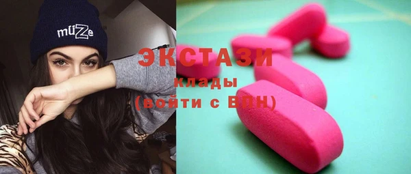 шишки Инсар