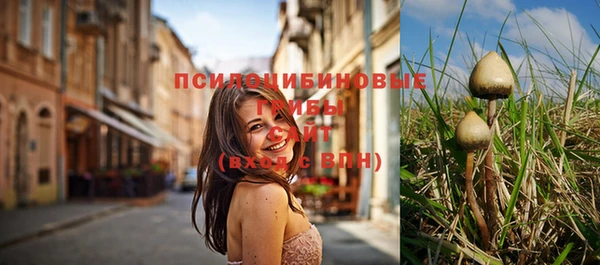 2c-b Иннополис