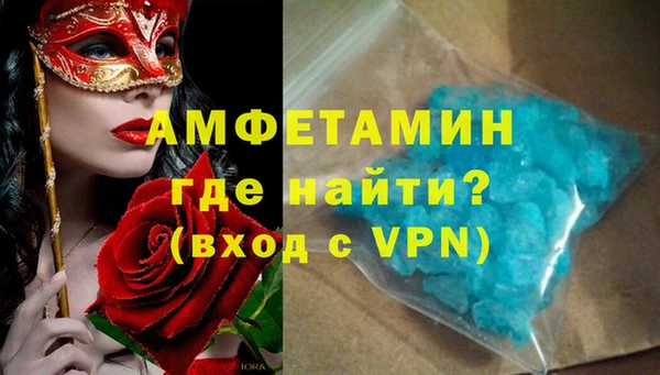 шишки Инсар