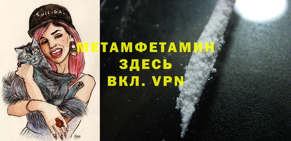 шишки Инсар