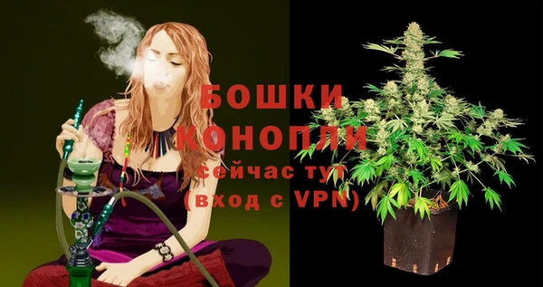 2c-b Иннополис