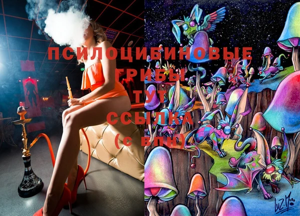 шишки Инсар