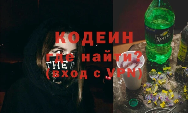 шишки Инсар