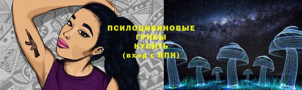 шишки Инсар