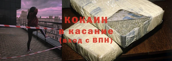 шишки Инсар